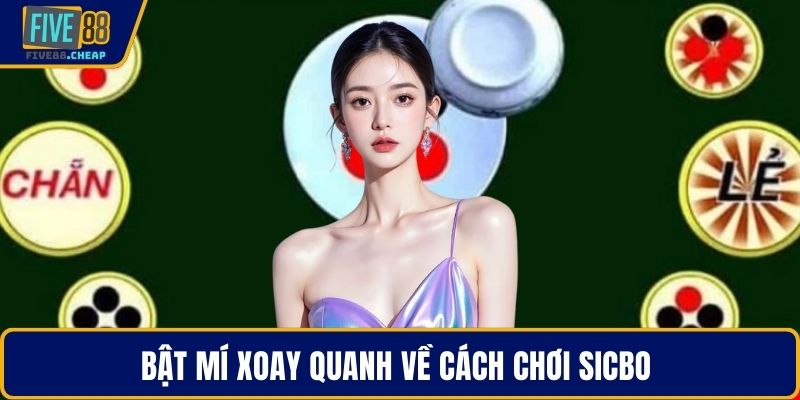 Bật mí xoay quanh về cách chơi Sicbo 