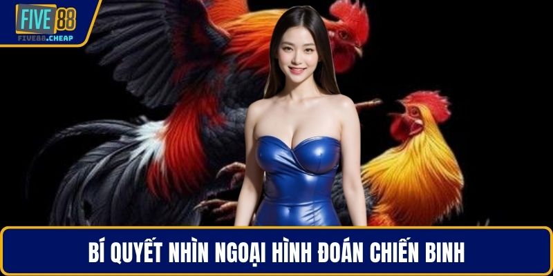 Bí quyết nhìn ngoại hình đoán chiến binh