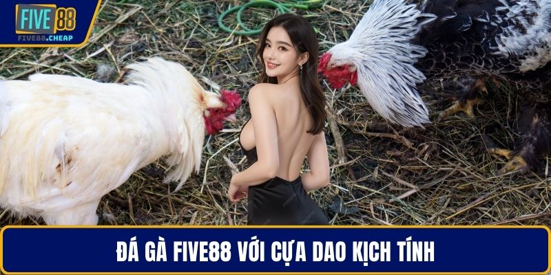 Đá gà Five88 với cựa dao kịch tính